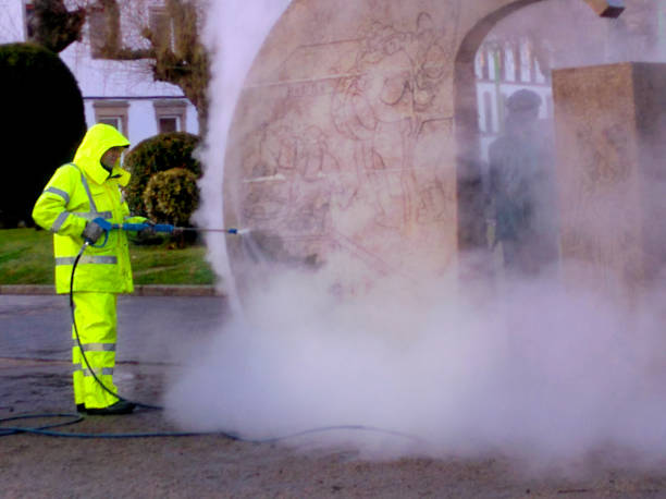Best Affordable Power Washing  in Fowler, MI